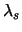 $\lambda_s$