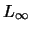 $L_{\infty}$